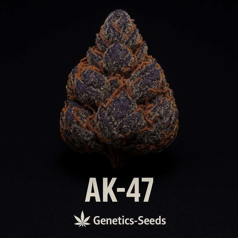 AK-47