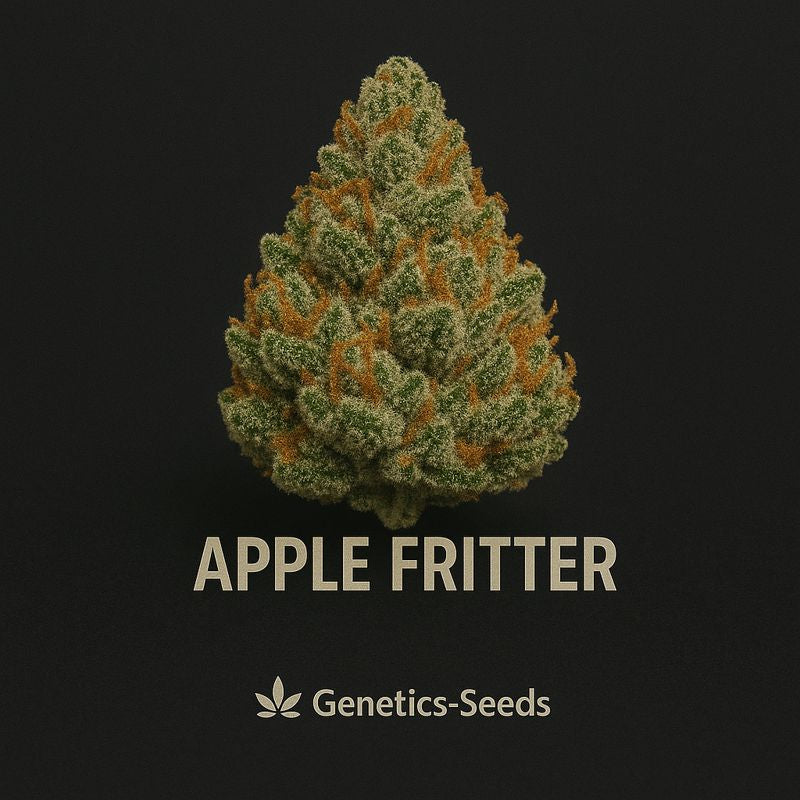 Apple Fritter
