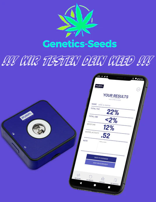 Analysenzertifikat Cannabinoide & Wasseranteil