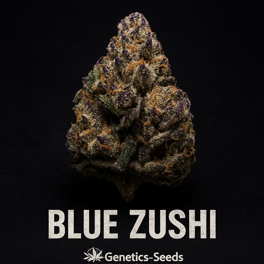 Blue Zushi Triploide