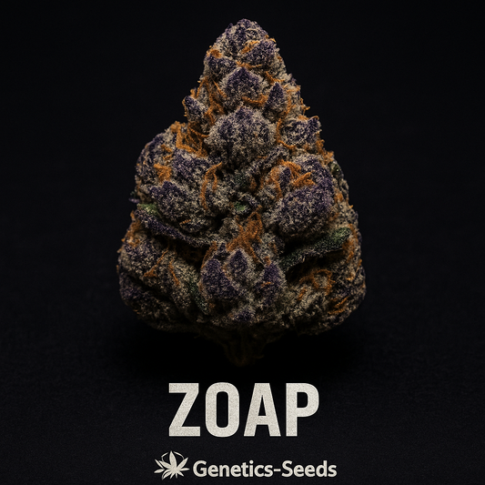 Zoap