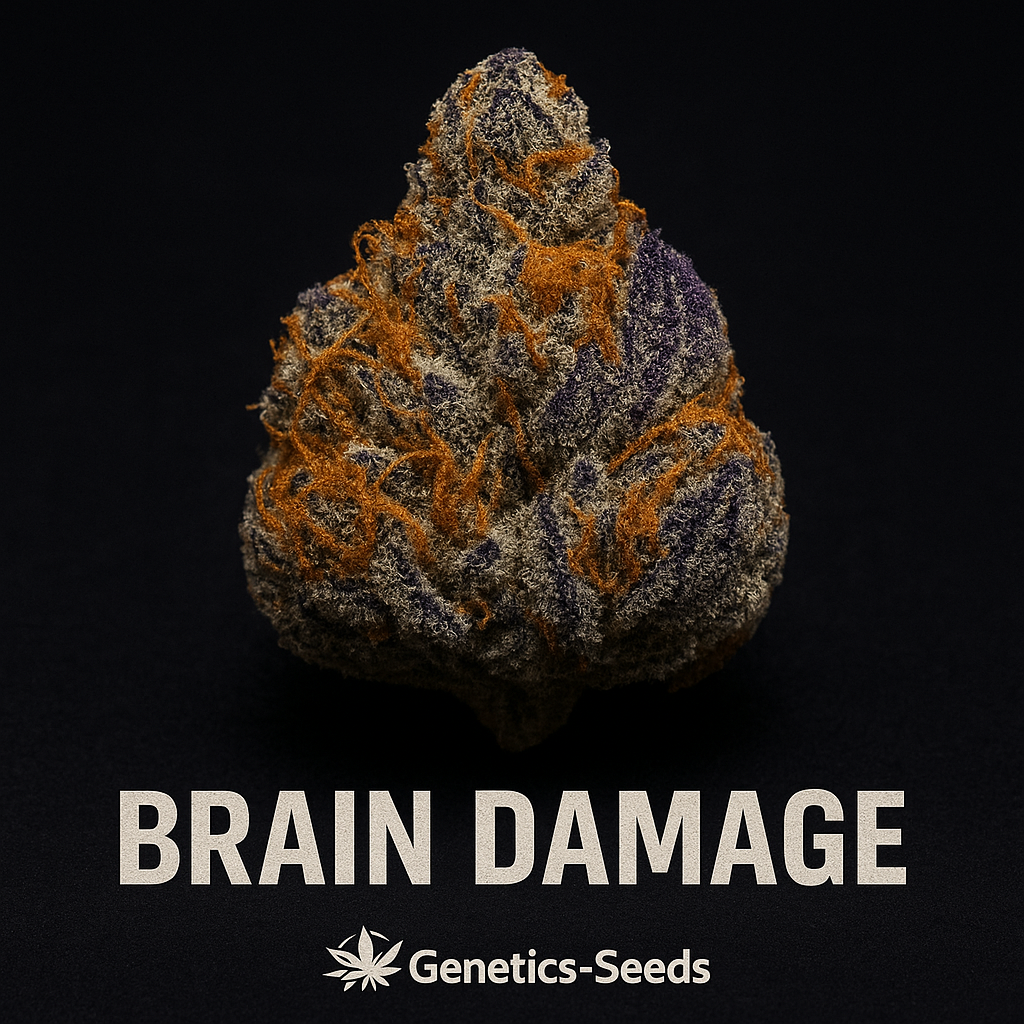 Brain Damage