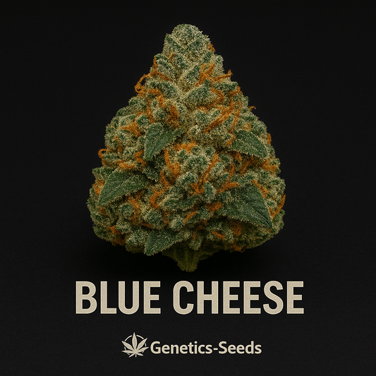 Blue Cheese