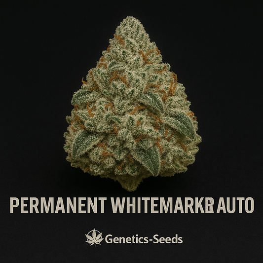 Permanent Whitemarker Auto