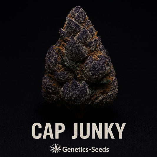 Cap Junky
