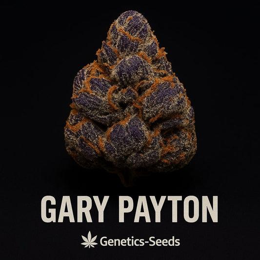 Gary Payton
