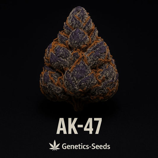 AK-47