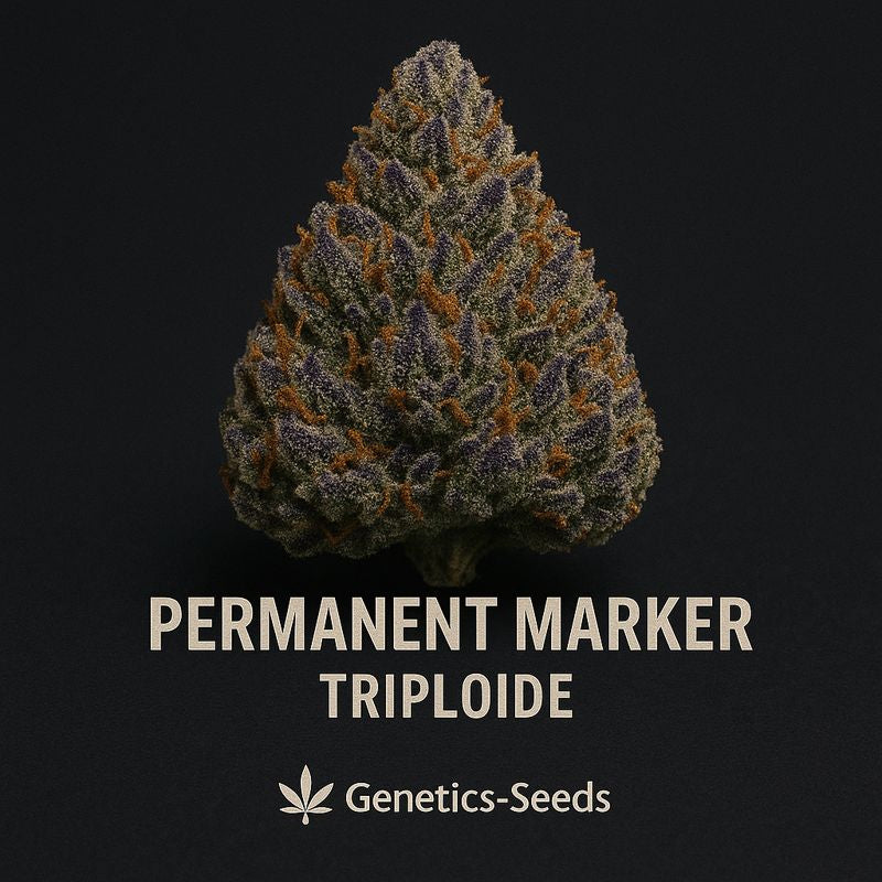 Permanent Marker Triploide