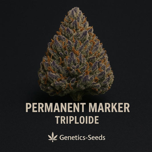 Permanent Marker Triploide