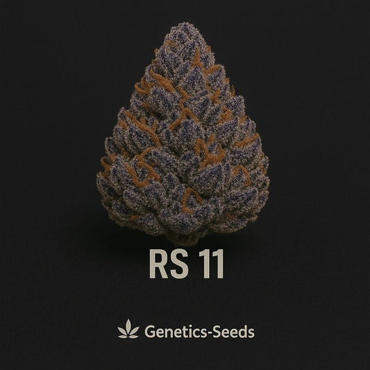 RS 11