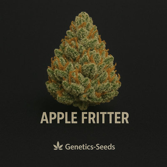 Apple Fritter