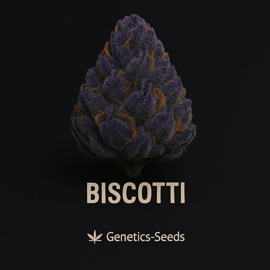 Biscotti