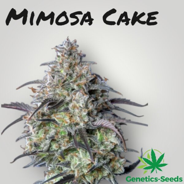 Mimosa Cake