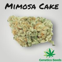 Mimosa Cake